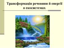 екологічна піраміда